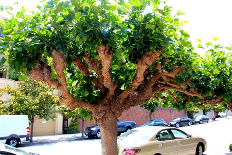 ���-���������